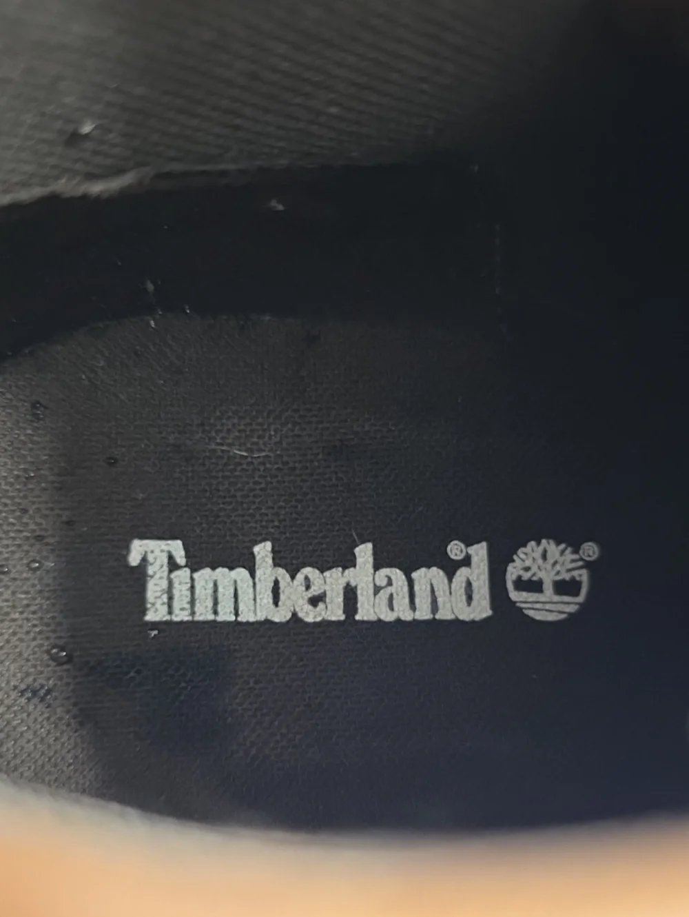 Timberland welcome these